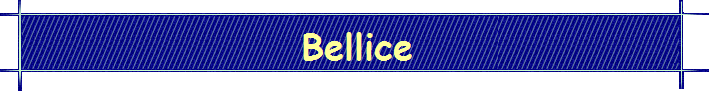 Bellice