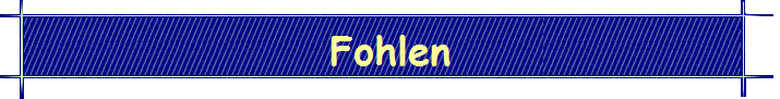 Fohlen