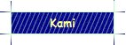 Kami