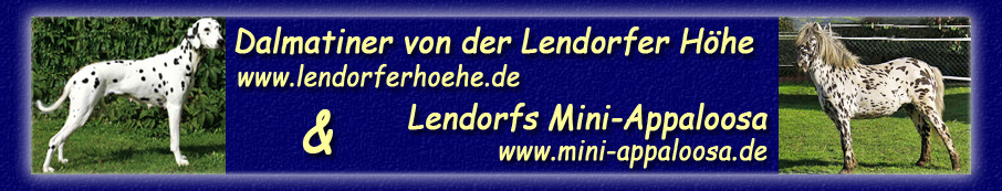 http://www.lendorferhoehe.de/Seitentitel_2012_Kopie.jpg