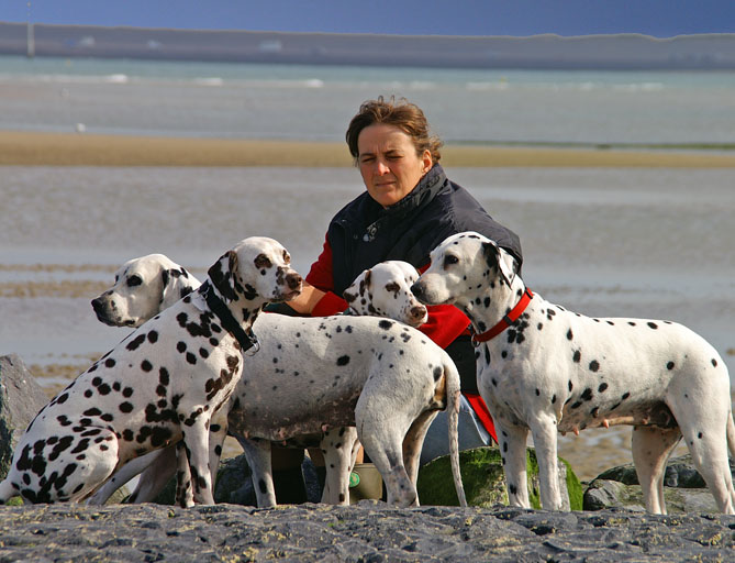 Bild zu Sylvia Lohmann